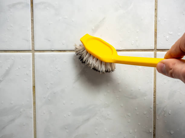 Best Home Mold Removal  in Rich Hill, MO