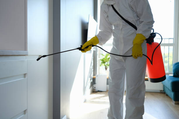 Office Mold Removal Services in Rich Hill, MO
