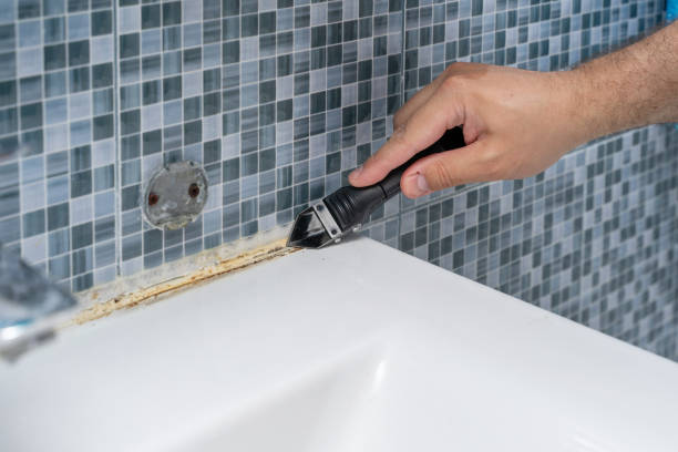 Best Black Mold Removal  in Rich Hill, MO